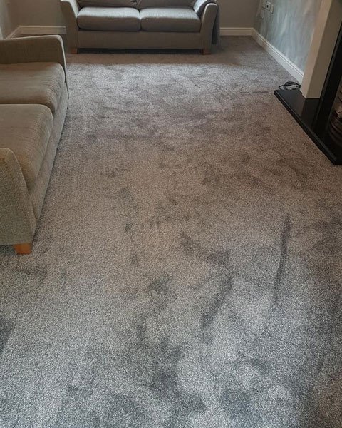 Carpet_02